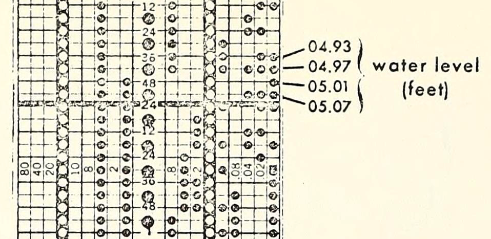 Website Punched Card Coding